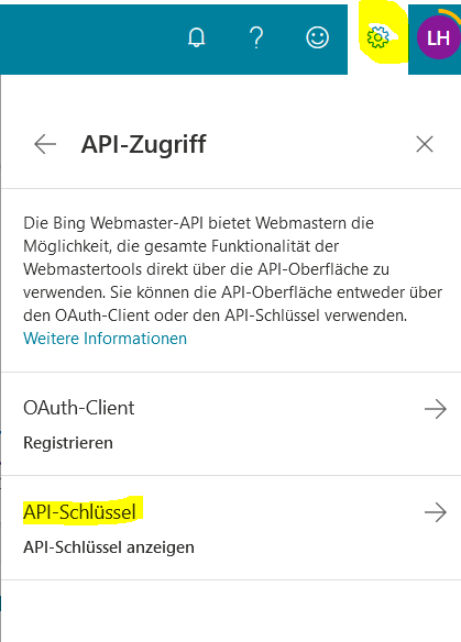 Bing API
