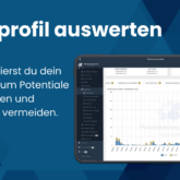 Linkprofil auswerten