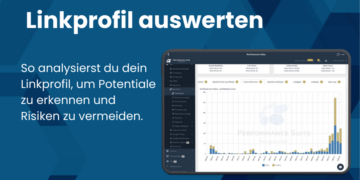Linkprofil auswerten