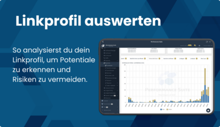 Linkprofil auswerten