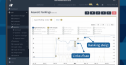 SEO Linkaufbau Erfolge
