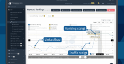 SEO Linkaufbau Erfolge