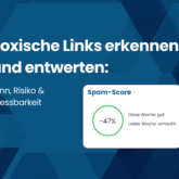 Toxische Links erkennen und entwerten: Sinn, Risiko & Messbarkeit
